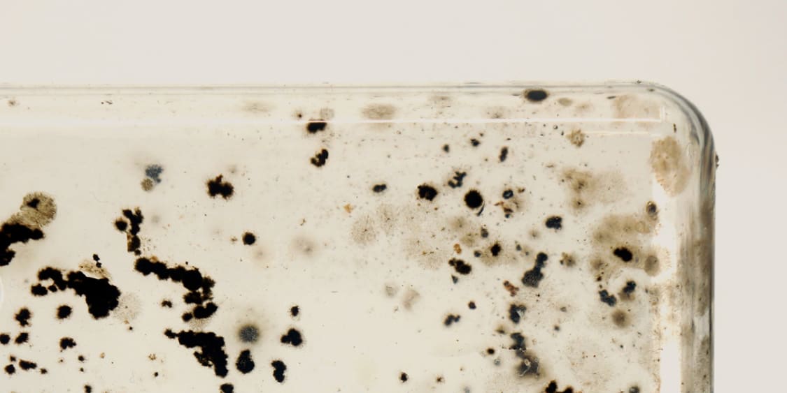 Biofilm on plastic bottle